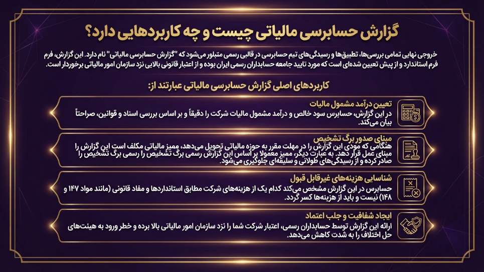 گزارش حسابرسی مالیاتی 